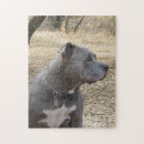 Recherche de pitbull puzzles Animal