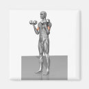 Recherche de muscle humain magnets Petite entreprise