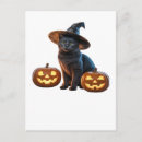 Recherche de chat noir halloween cartes postales Mignon