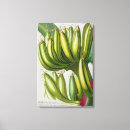 Recherche de banana posters Arbres