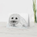 Zoek naar zeehond kaarten Liefde