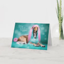 Zoek naar afghaanse kaarten Honden