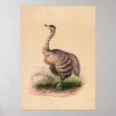 Recherche de zoologie posters Illustration