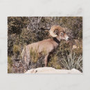Recherche de suspension cartes postales Rouge