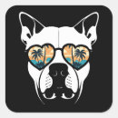 Recherche de pitié autocollants Pour animaux