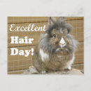 Recherche de hair cartes postales Humour
