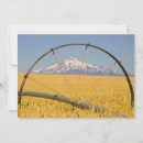 Recherche de tuyau cartes postales Pittoresque