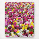 Recherche de champs tapis souris Nature