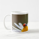 Recherche de diables rouges tasses Pour tous