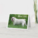 Recherche de bouledogue vœux cartes Tu me manques