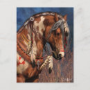 Recherche de poney de peinture cartes postales Américain