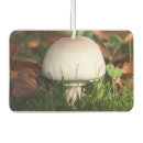 Recherche de champignons voiture accessoires Forêt