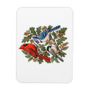 Recherche de oiseau magnets Amoureux des oiseaux