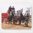 Recherche de concours hippique Cheval