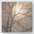 Recherche de arbre vie dessous de verres Motivation