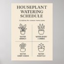 Zoek naar schema posters Botanisch