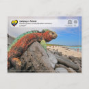 Recherche de îles galapagos cartes postales Galápagos