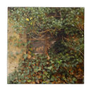 Recherche de fenêtres carreaux Vintage