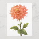 Recherche de dahlia cartes postales Bonjour