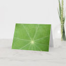 Recherche de veines vœux cartes Feuille