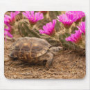 Recherche de mousepad de tortue électronique Rose