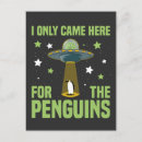 Recherche de amour pingouin cartes postales Drôle