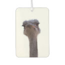 Recherche de oiseau voiture accessoires Mignon