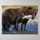 Recherche de public domain posters Faune