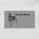 Recherche de le danois cartes visite Chiot