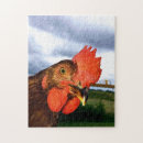 Zoek naar haan puzzels Kip