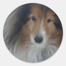 Recherche de shetland autocollants Étagère