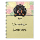 Recherche de dackel Chiot