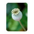 Recherche de ferraille magnets Fleur