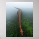Recherche de primitive posters Primitif