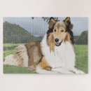 Recherche de lassie puzzles Collie anglaise
