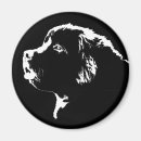 Recherche de chien terre neuve magnets Dog