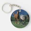 Recherche de mustang porteclés Sauvage