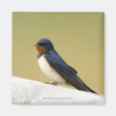 Zoek naar slik magneten Natuur