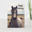 Zoek naar paarden notitiekaarten Pony