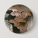 Recherche de champignons badges Comestible