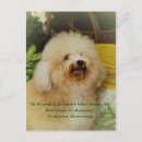 Recherche de mousepad de cartes postales Animal
