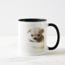 Recherche de chiots de chiwawa tasses Mignon