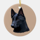 Recherche de chien de berger allemand ornements Animaux familiers
