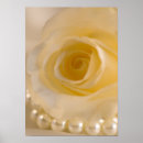 Zoek naar witte rozen posters Pretty
