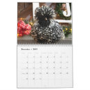 Recherche de poule calendriers Jardin