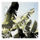 Recherche de feuille tropical posters Jungle