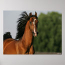 Recherche de morgan posters Race