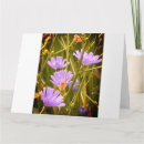 Recherche de kentucky vœux cartes Fleurs
