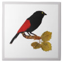 Recherche de oiseau rouge carreaux Floral
