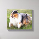 Recherche de amant impressions sur toile Chien